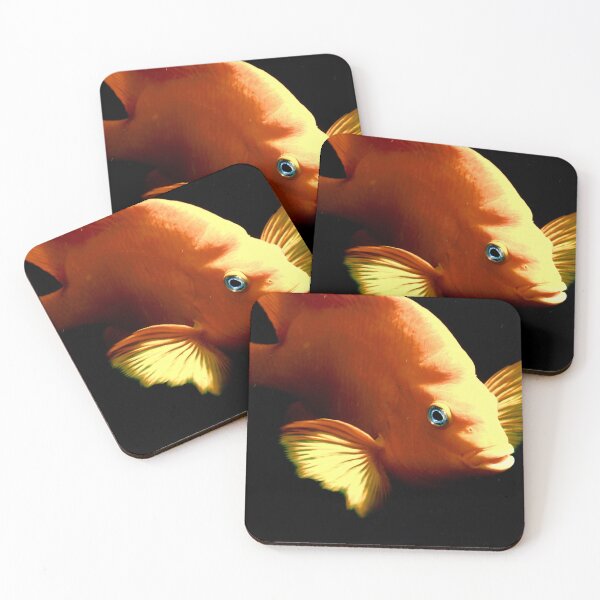 Item preview, Garibaldi designed and sold by Johnny Nienstedt.