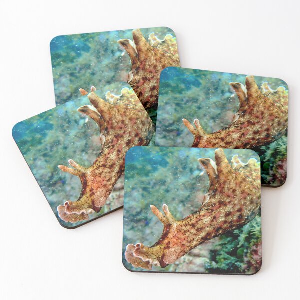Item preview, Sea Hare designed and sold by Johnny Nienstedt.