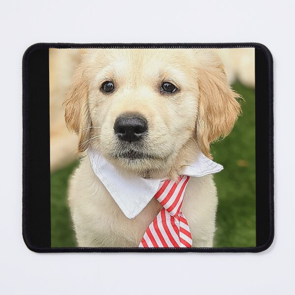 Item preview, Sweet happy golden retriever puppy designed and sold by Fluffycat2020.