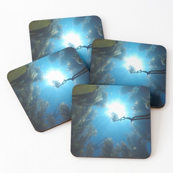 Item preview, Sunlight in kelp forest designed and sold by Johnny Nienstedt.