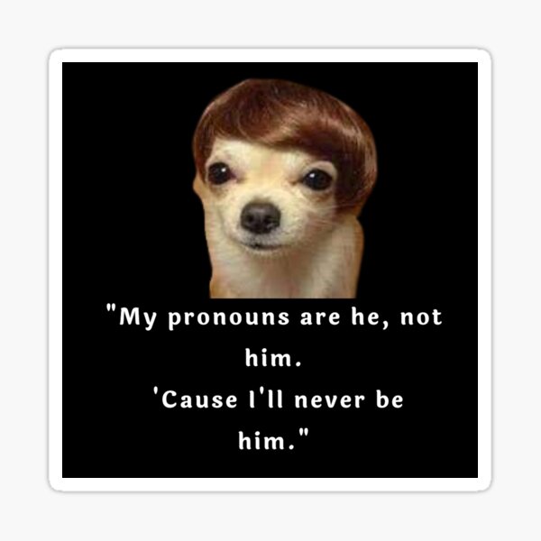 my-pronouns-are-he-not-him-cause-i-ll-never-be-him-dog-wig-meme