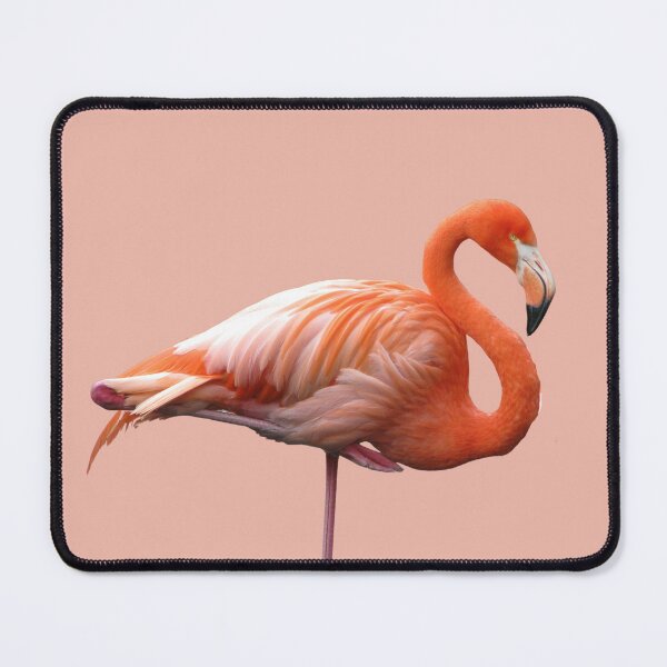 Item preview, Flamin' Flamingo designed and sold by RainbowSpinkle.