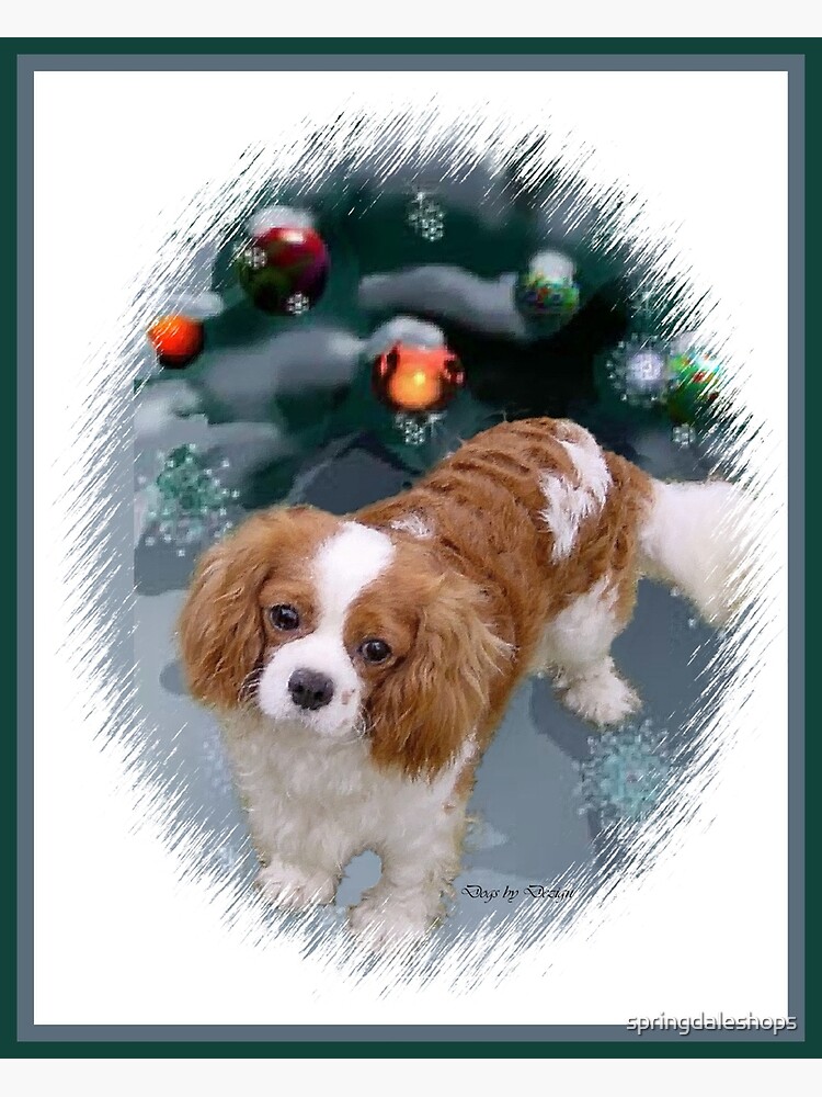 Cavalier king charles spaniel cheap items