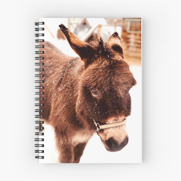 Item preview, ANIMALS #55 - Adorable Furry Burro designed and sold by DEL-Productions.