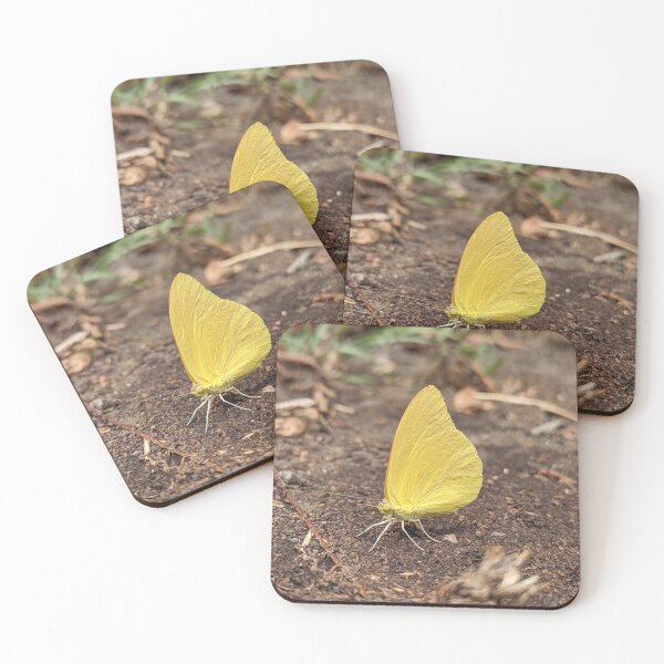 Item preview, Butterfly Large Orange Sulphur  designed and sold by SanArtcisco.