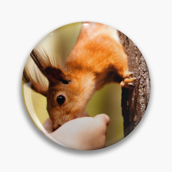 Item preview, ANIMALS #57 - Handfed Red Squirrel on Tree designed and sold by DEL-Productions.