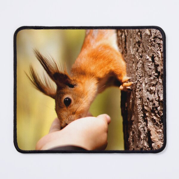 Item preview, ANIMALS #57 - Handfed Red Squirrel on Tree designed and sold by DEL-Productions.