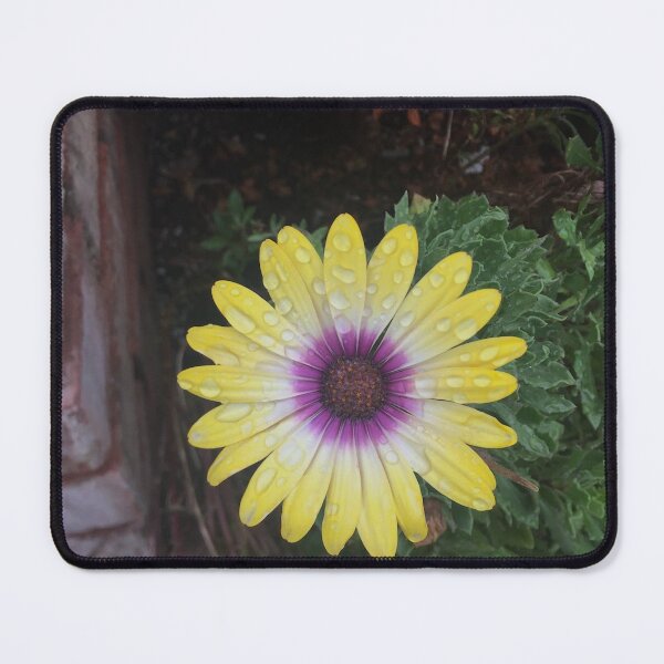 Item preview, Ambition designed and sold by SnappedbyRivka.