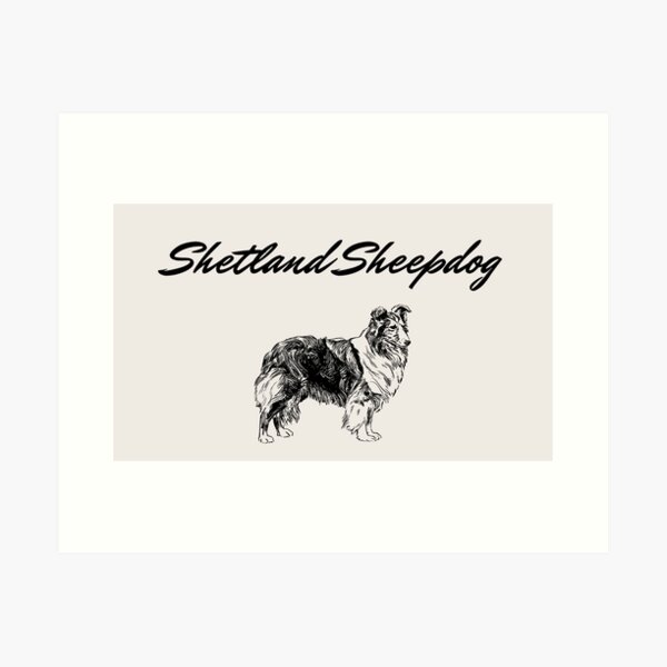 Item preview, Shetland Sheepdog designed and sold by Askur2000.