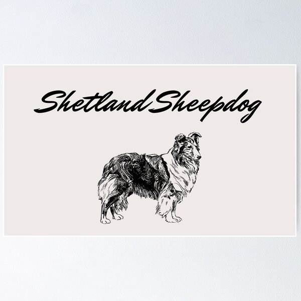 Item preview, Shetland Sheepdog designed and sold by Askur2000.