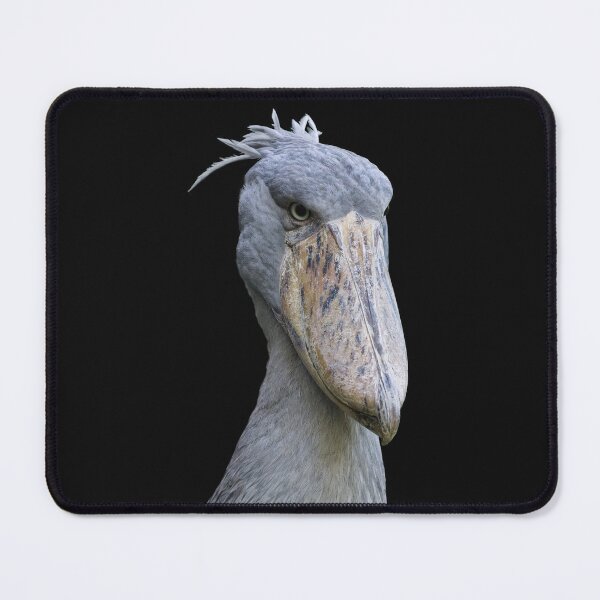 Item preview, Shoebill designed and sold by The Sleepy Monito.