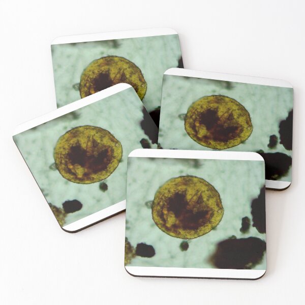 Item preview, Prasinophyte Algae Cyst designed and sold by Pr0teusUnbound.