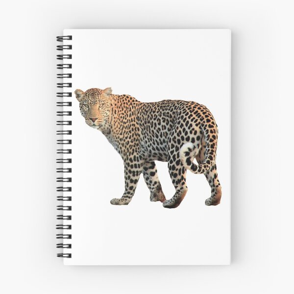Item preview, beautiful jungle Leopard designed and sold by KARTICK DUTTA.