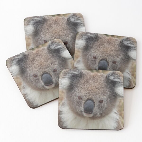Item preview, Koala Closeup designed and sold by Pixsell Travels.