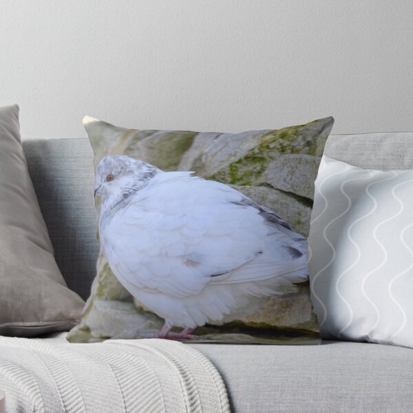 Item preview, Pretty Pigeon,,,,,,,,,,, designed and sold by lynn carter.