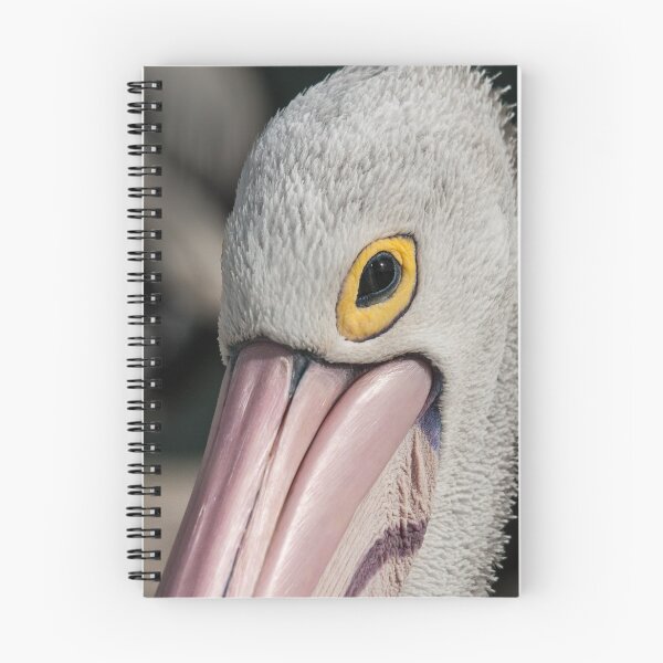 Item preview, The Pelican Look designed and sold by Werner Padarin.