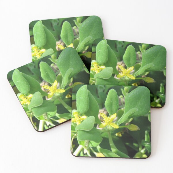 Item preview, Bower spinach flowers designed and sold by greentiger1.