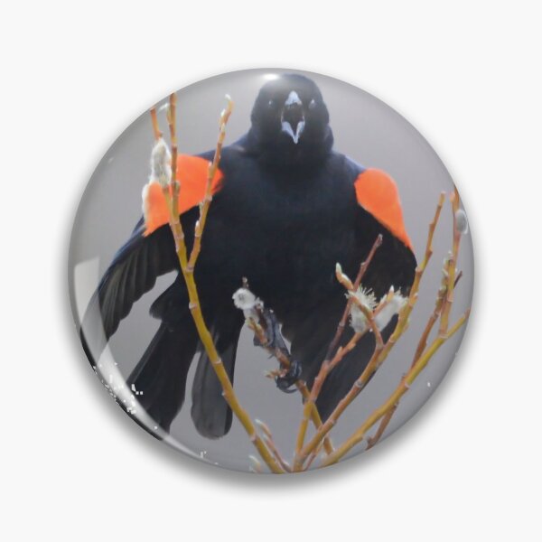 Item preview, Red Wing Blackbird designed and sold by Whisperingpeaks.