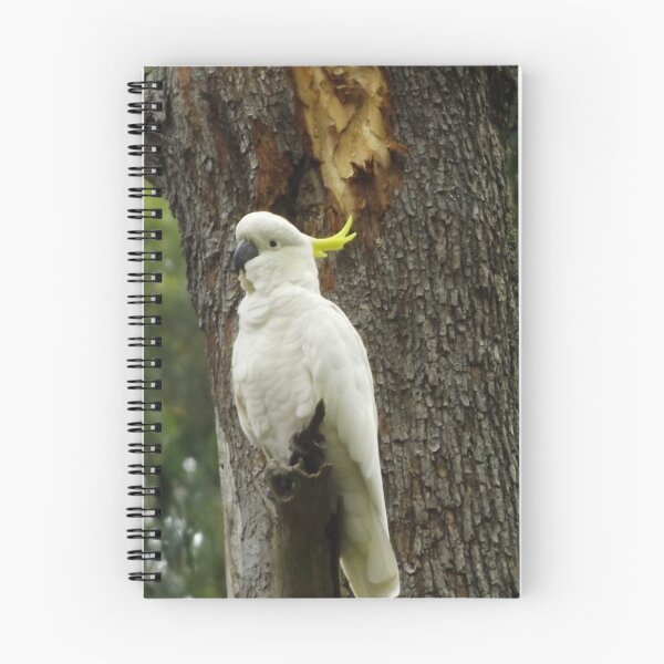Item preview, Cockatoo designed and sold by Jane Izzy Designs.