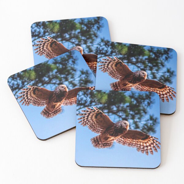 Item preview, ANIMALS #59 - Brown Owl Swooping Out of Tree designed and sold by DEL-Productions.