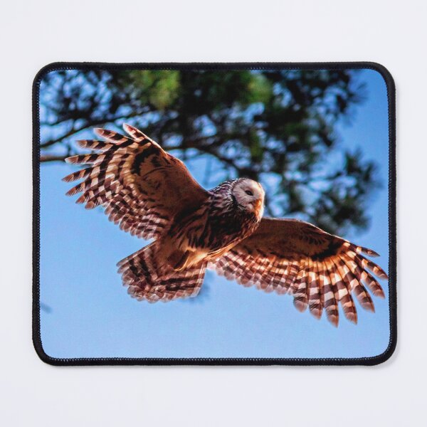 Item preview, ANIMALS #59 - Brown Owl Swooping Out of Tree designed and sold by DEL-Productions.