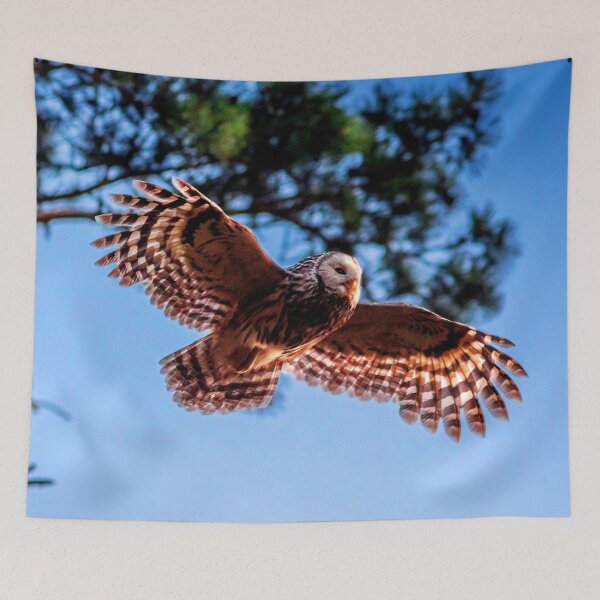Item preview, ANIMALS #59 - Brown Owl Swooping Out of Tree designed and sold by DEL-Productions.