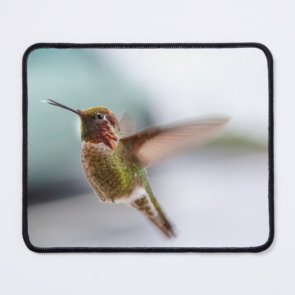 Item preview, Hummingbird in Flight designed and sold by RRMStudios.