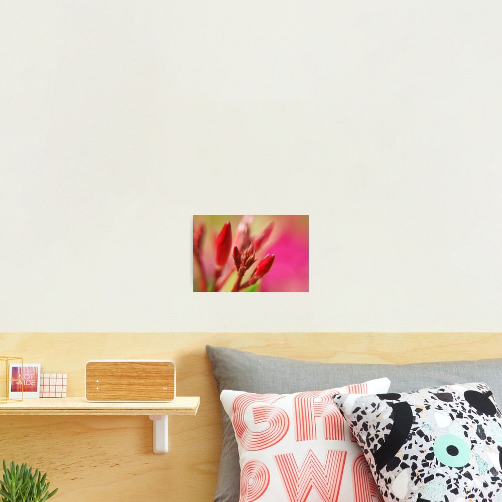Item preview, Photographic Print designed and sold by PPDesigns.