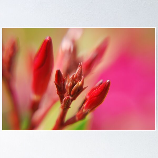 Item preview, Pink  designed and sold by PPDesigns.