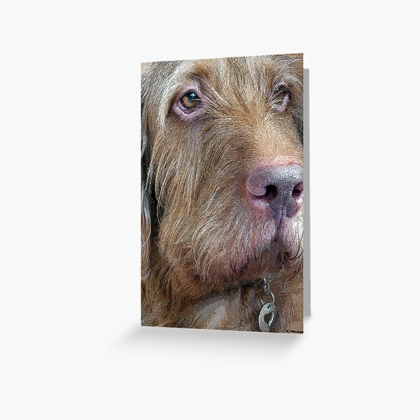 Patience Greeting Card