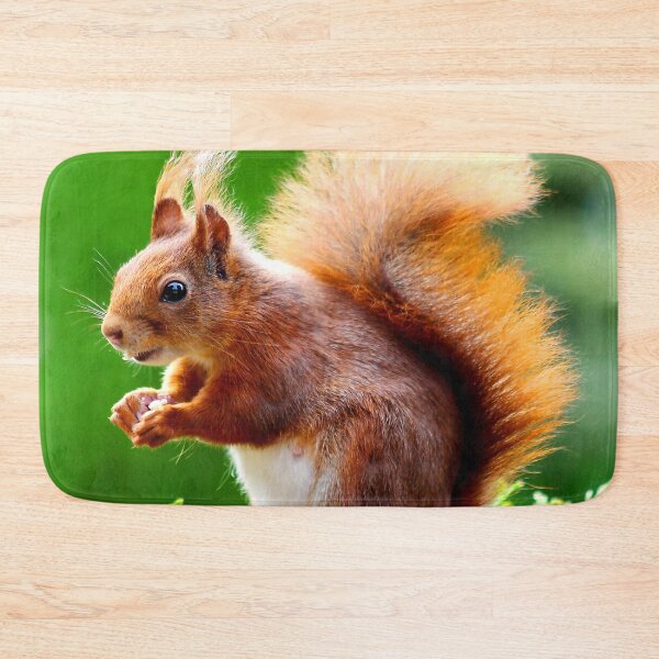 Item preview, ANIMALS #61 - Adorable Red Squirrel Close-Up designed and sold by DEL-Productions.