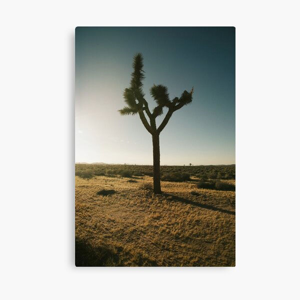 Item preview, golden desert designed and sold by bellehibou.