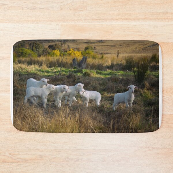 Item preview, Spring Lambs designed and sold by Clare Colins.