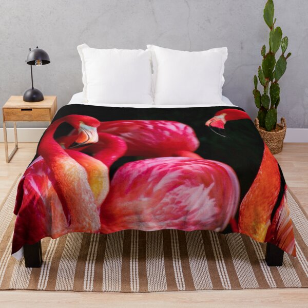 Item preview, ANIMALS #66 - Beautiful Red Flamingos Framed in Black designed and sold by DEL-Productions.