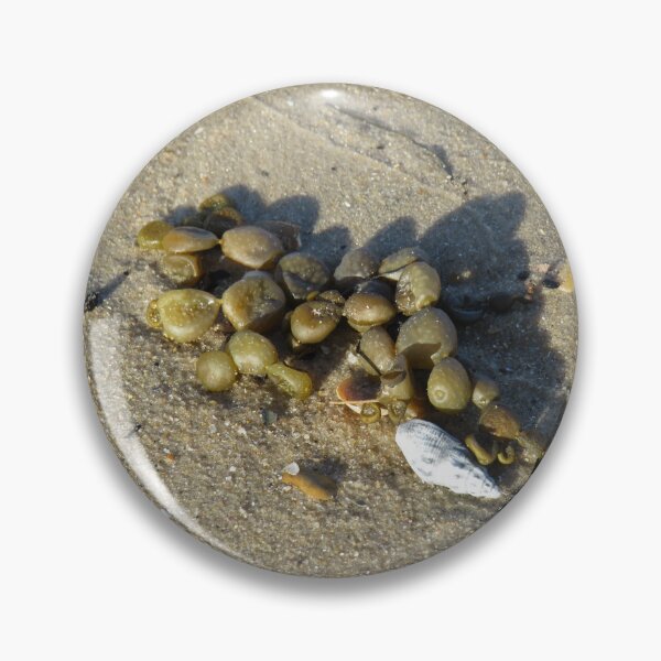 Item preview, Beady seaweed designed and sold by greentiger1.