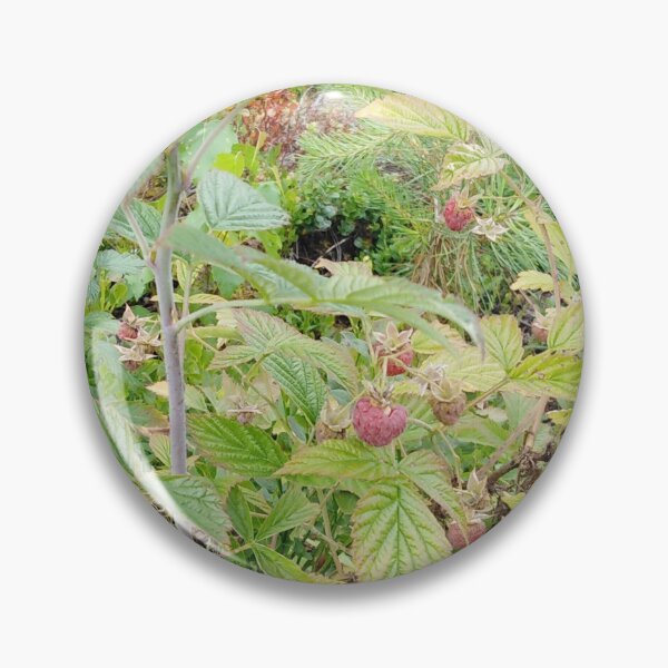 Item preview, Do you also miss the smell of raspberries from summer? designed and sold by Raigitam.