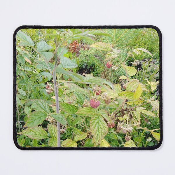 Item preview, Do you also miss the smell of raspberries from summer? designed and sold by Raigitam.