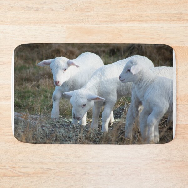 Item preview, Little Baby Lambs designed and sold by Clare Colins.