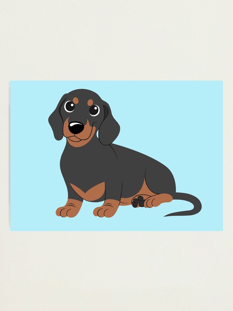 Miniature Dachshund - Black & Tan Photographic Print for Sale by