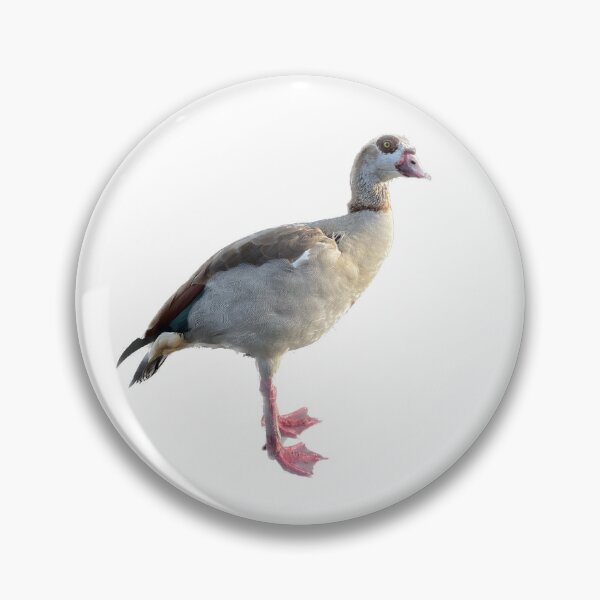 Item preview, Egyptian Goose designed and sold by oahulanai.