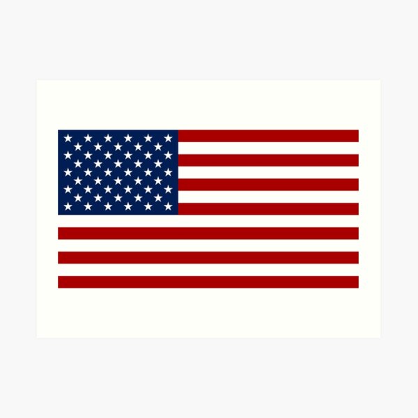 The American Flag Art Print