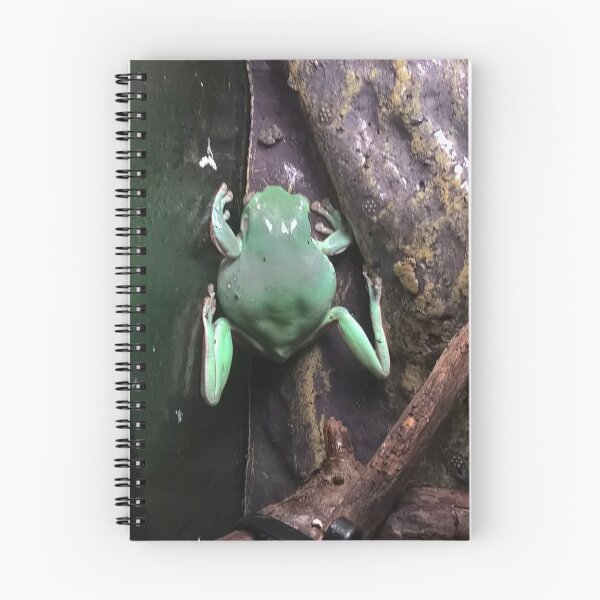 Item preview, Fun Frog designed and sold by Barbara  Nagle.