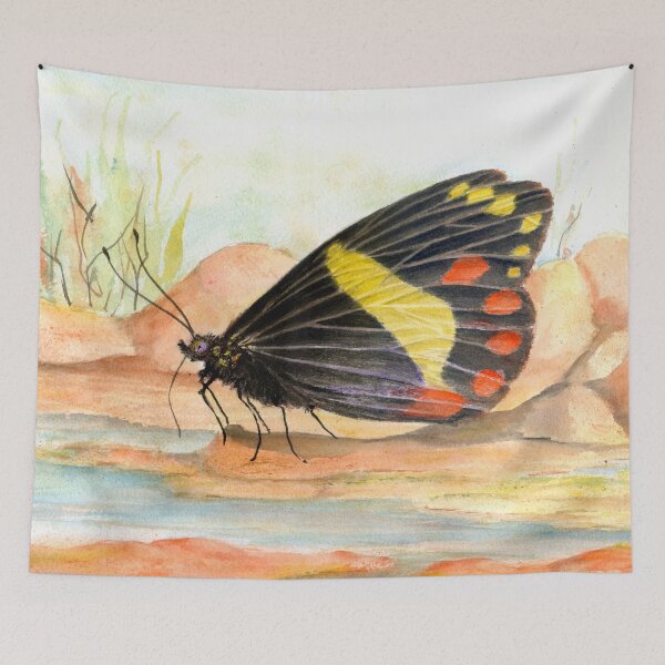 Aperçu de l'œuvre papillon, boire, aquarelle, peinture créée et vendue par Heatherian.