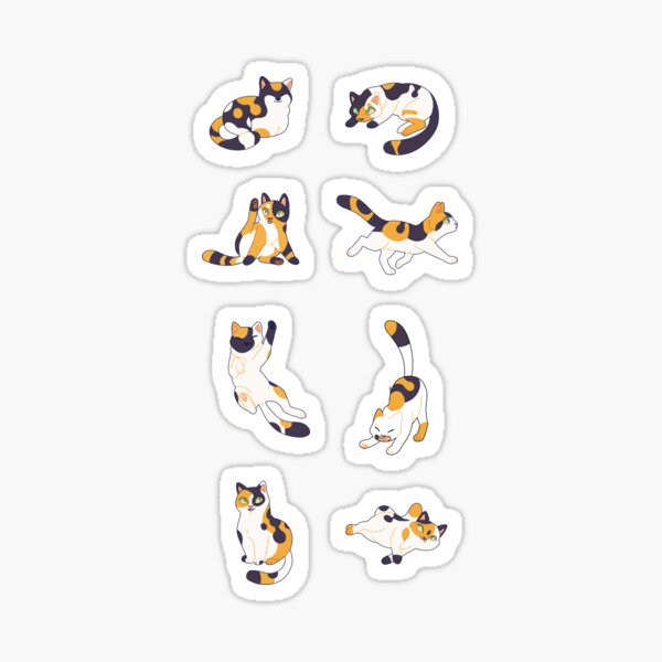 Looks Like My Cat! Calico cat sticker – Chester & Pearl