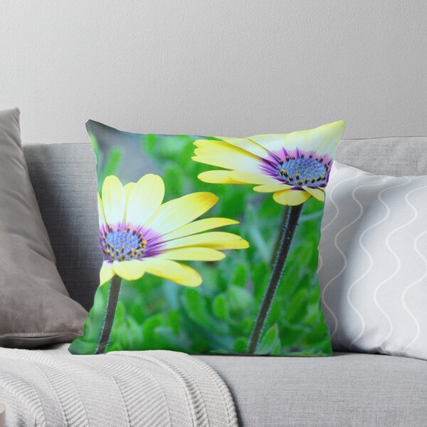 Item preview, Golden Gazanias designed and sold by imaginethis.