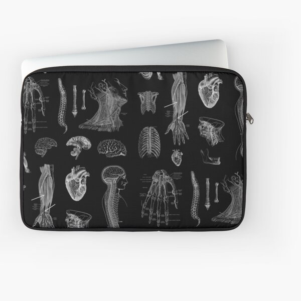 Vintage Anatomy Print Laptop Sleeve