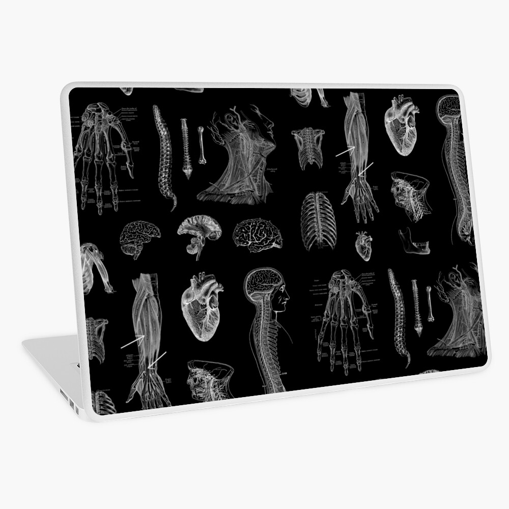 Vintage Anatomy Print Laptop Skin