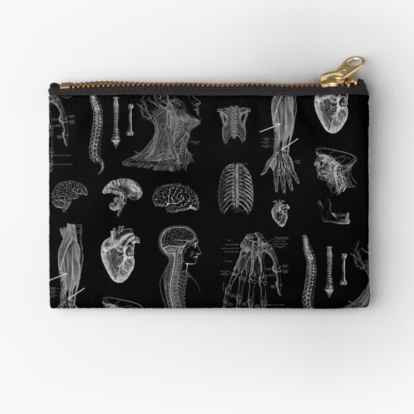 Anatomical Zipper Pouches for Sale