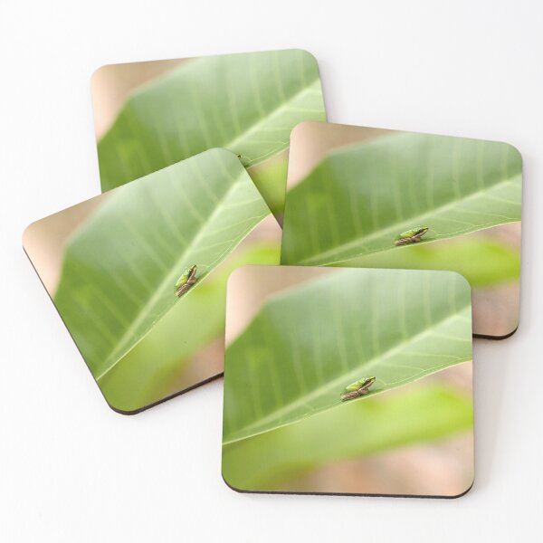 Item preview, Frog on a leaf designed and sold by pcole123.