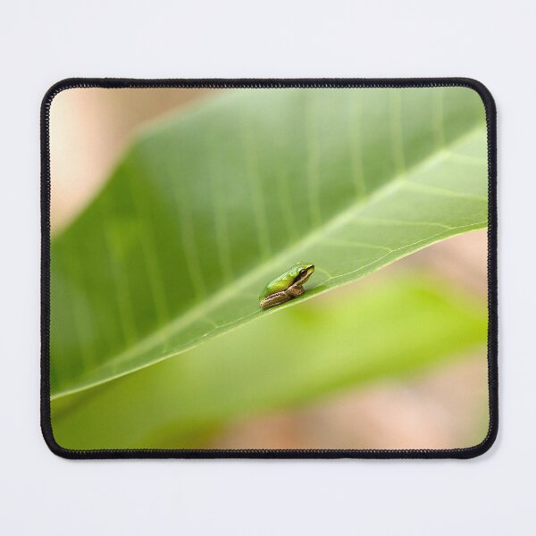 Item preview, Frog on a leaf designed and sold by pcole123.